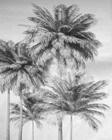 Fototapet alb negru cu palmieri