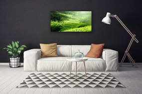 Tablou pe panza canvas Meadow Natura verde