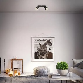 Spot Briloner 2674-025 RETRO 2xE14/25W/230V negru