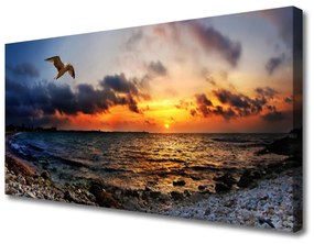 Tablou pe panza canvas Seagull Sea Beach Peisaj Albastru Portocaliu Roșu