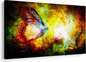 Tablou - Fluture spațial (90x60 cm)