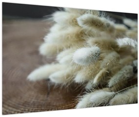 Tablou - Coadă de iepure (90x60 cm)