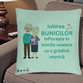Cadou pentru Bunici - Perna Personalizata Bunicii Iubirea Infloreste Cuplu Senior Teal, 40x40 cm, Verde Menta, Husa Detasabila, Perna Inclusa, BEKZ®
