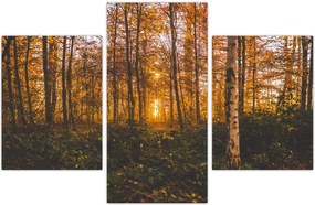 Tablou - Pădurea toamna (90x60 cm)