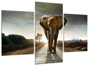 Tablou cu elefant (90x60 cm)