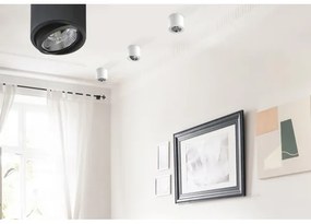 Azzardo AZ1356 - Plafonieră ALIX 1xG53/50W/230V/12V