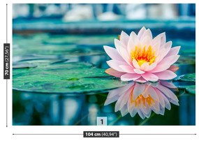 Fototapet roz Lotus