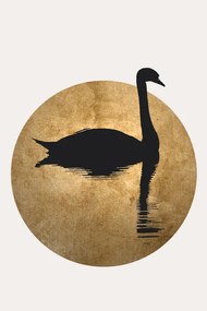 Ilustrație The Swan, Kubistika