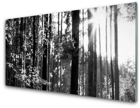 Tablouri acrilice Forest Nature Gray