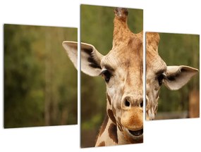 Tablou girafe (90x60 cm)