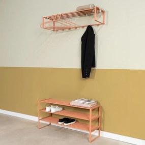 Pantofar somon din oțel 100x48,5x29 cm Rex – Spinder Design