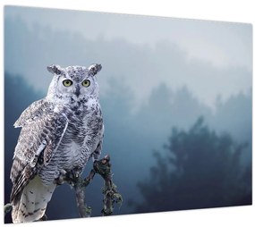 Tablou - Bufniță de zăpadă (70x50 cm)