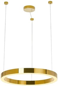 Moosee Ring Luxury lampă suspendată 1x60 W auriu MSE010100190
