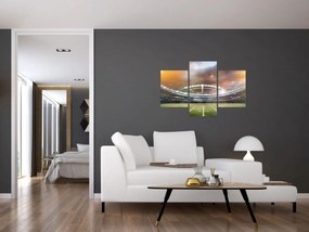 Tablou - Stadion (90x60 cm)