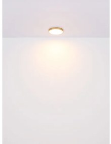 Plafonieră LED TIBEY LED/22W/230V d. 35 cm Globo 12381-22