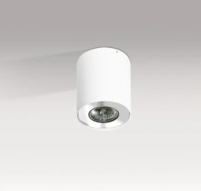 Spot aplicat tavan/plafon stil modern Neos 1 White/Chrome