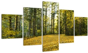 Tablou - pădurea toamna (125x70 cm), în 40 de alte dimensiuni noi