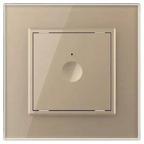 Intrerupator Simplu cu Touch LIVOLO cu Rama din Sticla – Protocol ZigBee EC