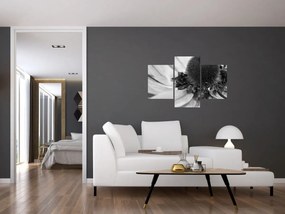 Tablou - Floare în alb-negru (90x60 cm)