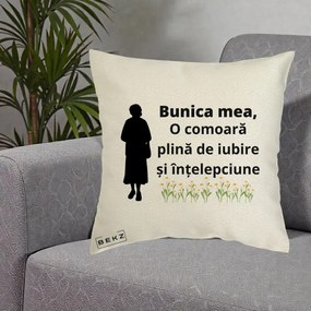 Cadou pentru Bunica - Perna Personalizata Bunica Mea Comoara Iubire Intelepciune Silueta cu Nepoata, 40x40 cm, Ecru, Husa Detasabila, Perna Inclusa, BEKZ®