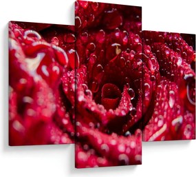 Tablou cu floarea trandafirului roșu (90x60 cm)