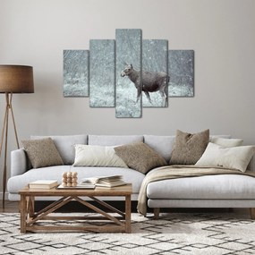 Tablou - Elan într-o pădure înzăpezită (150x105 cm)