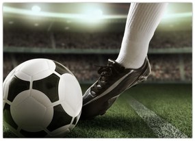 Tablou - Minge de fotbal (70x50 cm)