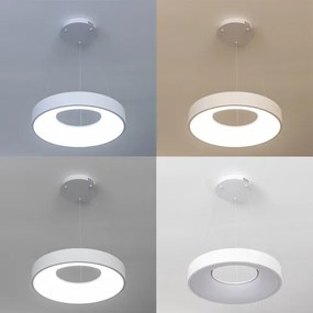 Brilagi - Lustră LED dimabilă suspendată pe cablu FALCON II LED/67W/230V Ø 40 cm, albă + telecomandă