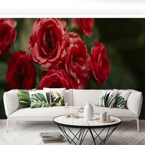 Fototapet Vintage Roses