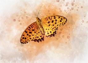 Tablou pe sticlă - Fluture portocaliu, aquarelă (70x50 cm)