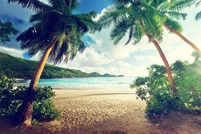 Fototapet apus pe insula Seychelles