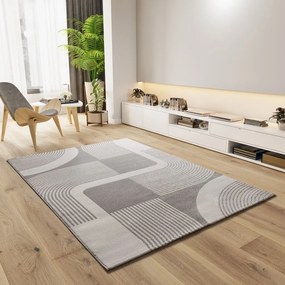 Covor gri deschis-fildeș 160x230 cm Flora – Universal