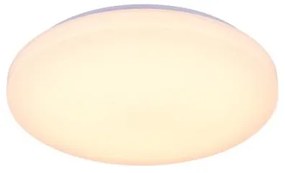 Plafonieră LED dimabilă cu control vocal OPAL LED/48W/230V + telecomandă