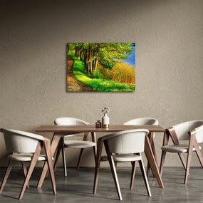 Tablou - poteci pe malul apei (70x50 cm)