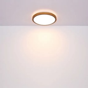 Globo 41764-12 - Plafonieră LED BRUNO 12W 230V 307 mm 3000/4500/6000K