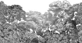 Fototapet, Bellewood, Black Toile, Rebel Walls