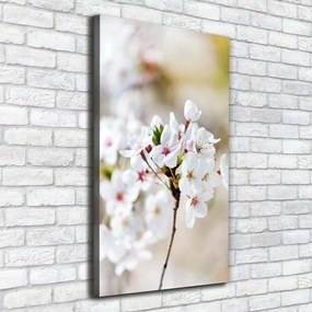 Imprimare tablou canvas Flori de cireș