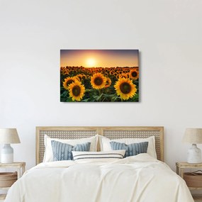 Tablou - Floarea soarelui (90x60 cm)