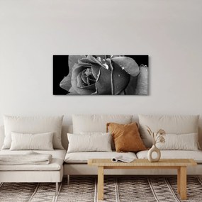Tablou cu trandafir - albneagră (120x50 cm)
