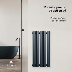 Blumfeldt Tallheo radiator 60x30 230W