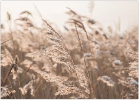 Tablou - Adiere de luncă (70x50 cm)