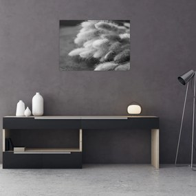 Tablou pe sticlă - iarbă de coadă de iepure pe masă (70x50 cm)