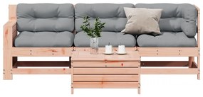vidaXL Set mobilier de grădină cu perne, 4 piese, lemn masiv douglas