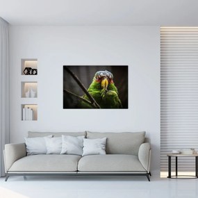 Tablou cu papagal (90x60 cm)