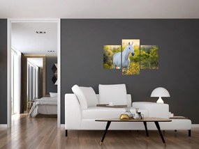 Tablou - Cal alb în poină (90x60 cm)