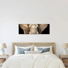 Tablou - Elefant african (cu ceas) (90x30 cm)