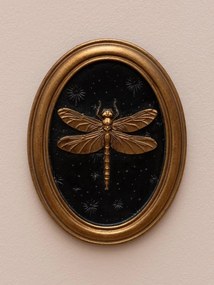 Set 4 tablouri polyrasina cu insecte " Entomology "