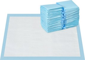 PawHut Set 100 Covoare Absorbante pentru Câini cu 6 Straturi, Covoare Igienice pentru Câini, 45x60 cm, Albastru | Aosom Romania