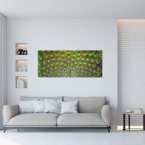 Tablou - Peacock (120x50 cm)