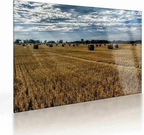 Tablou pe sticlă cu câmp recoltat (70x50 cm)